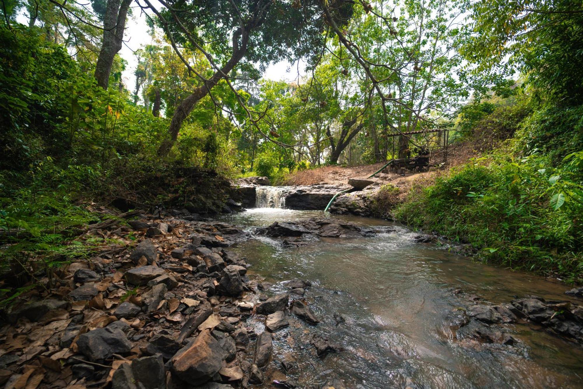Kingmaker'S Plantation With River Stream Madikeri Exterior photo